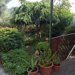 Il Glicine Cozy Appartamnent, Near Sestri Levante Between Cinque Terre E Portofino
