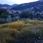 Il Glicine Cozy Appartamnent, Near Sestri Levante Between Cinque Terre E Portofino *