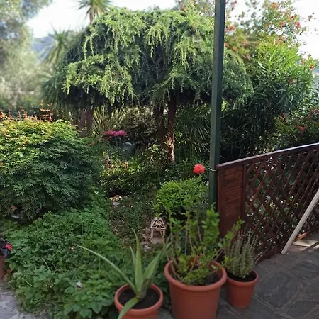 Il Glicine Cozy Appartamnent, Near Sestri Levante Between Cinque Terre E Portofino