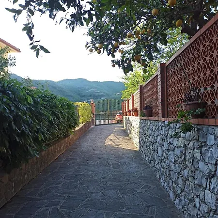 Il Glicine Cozy Appartamnent, Near Sestri Levante Between Cinque Terre E Portofino 卡萨察利古勒