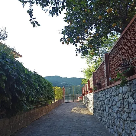 Il Glicine Cozy Appartamnent, Near Sestri Levante Between Cinque Terre E Portofino 公寓 *